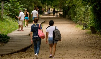 EL PINAR FUNDACIONAL Y EL PINAR TITO ALLO SE RESTITUIRN AL MUNICIPIO